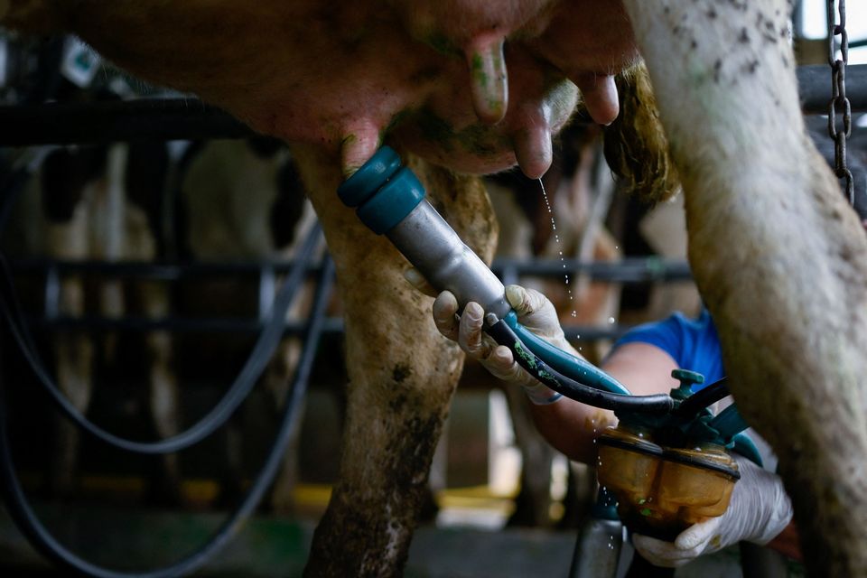 Milk supply drop costs rural Ireland €370m in just four months