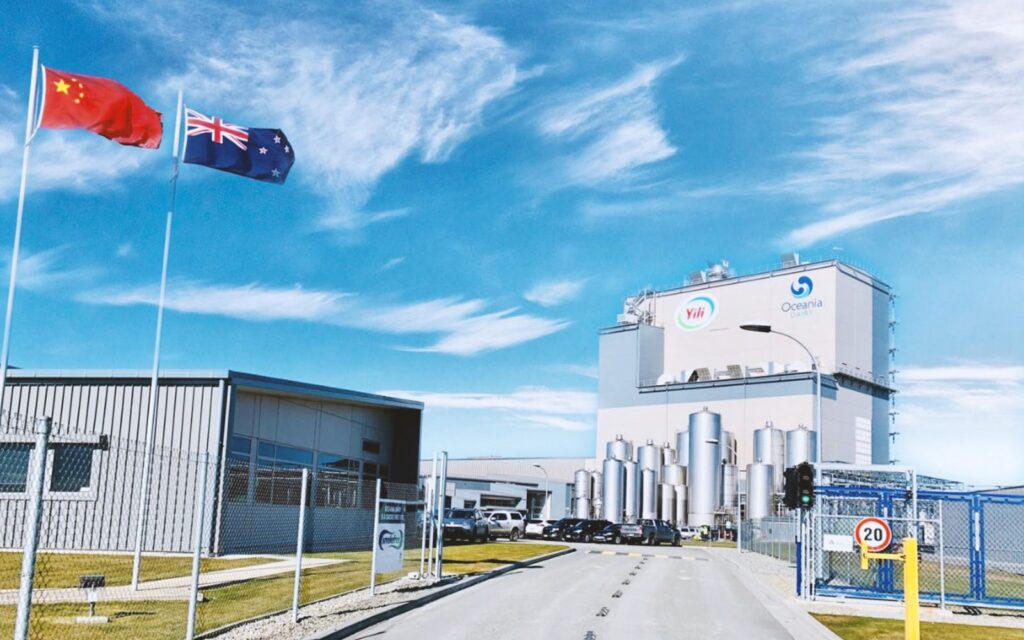 Oceania Dairy results for 2023 show a $19 million loss. File photo/Oceania Dairy