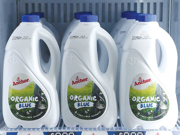 Record organic milk payout