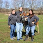 Say cheese Illinois dairy adds value with creamery, educational tours