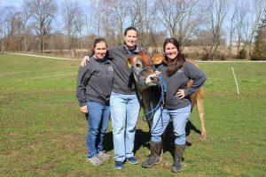 Say cheese Illinois dairy adds value with creamery, educational tours