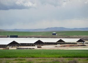 A New Chapter for a Once Notorious Oregon Mega-Dairy Site Draws Attention to CAFO Permits