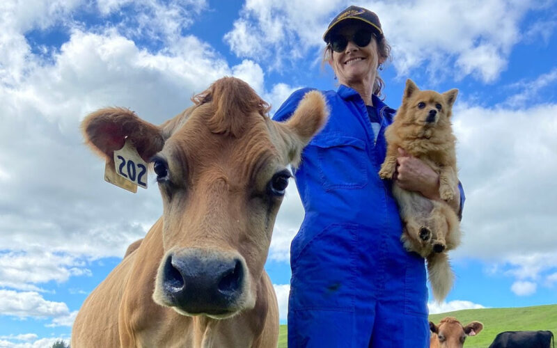 A gift of dairy nourishment at the tick of a box