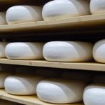 Ausnutria Dairy takes full ownership of goat’s cheese business Amalthea