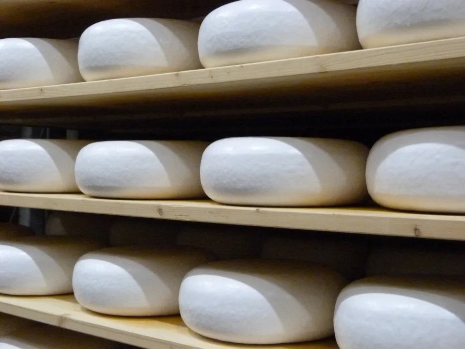 Ausnutria Dairy takes full ownership of goat’s cheese business Amalthea