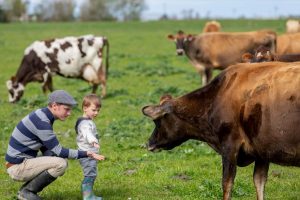 Bringing Back Local Milk, Ice Cream, and Cheese