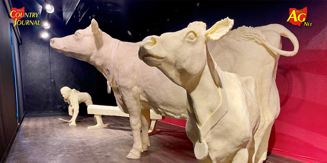 Butter cow display (and ice cream) a highlight of the Ohio State Fair