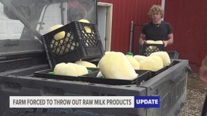 Cass County farm dumps estimated $90,000 in raw dairy after state violations