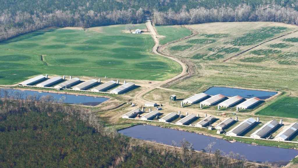 Controversial mega-dairy in Eastern Oregon decommissioned