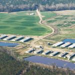 Controversial mega-dairy in Eastern Oregon decommissioned