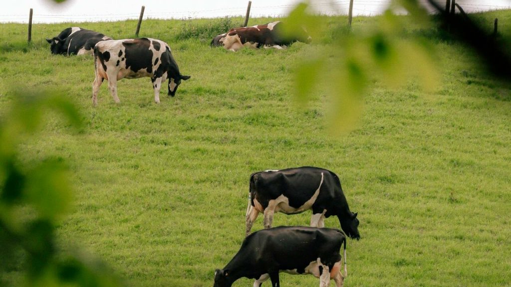 Dairy farmers must be paid for environmental actions – Arthur