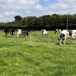 Dairy focus Having a sustainable winter milk herd