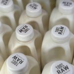 Dozens were sickened with salmonella after drinking raw milk from a California farm