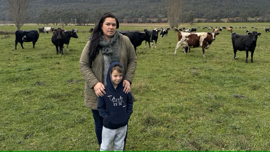 Facebook hay scam targets Tasmanian farmers battling dry conditions as person charged over alleged fraudulent activity