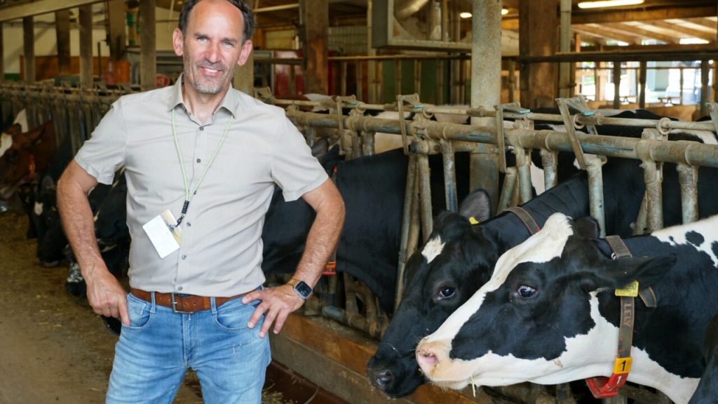 Farm Focus 600-day lactation at multifaceted German farm