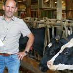 Farm Focus 600-day lactation at multifaceted German farm