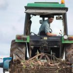 Farm incomes in NI dropped by 44% in 2023