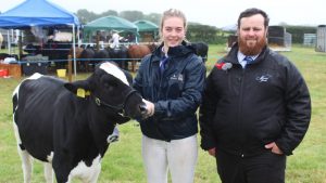 Grazing 650 dairy cows year-round in south Australia