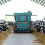 H5N1 confirmed in 5 more US dairy herds, more cats