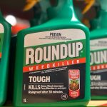 Major class action thrown out as Federal Court finds insufficient evidence to prove weedkiller Roundup causes cancer