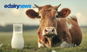 Milk and Blood Pressure Reduction A Review of the Scientific Evidence