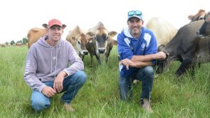 Milk price drop will hurt dairy farmers