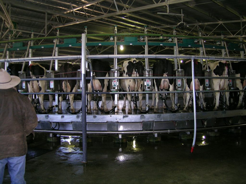 Milk production down from May 23-May 24