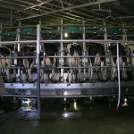 Milk production down from May 23-May 24