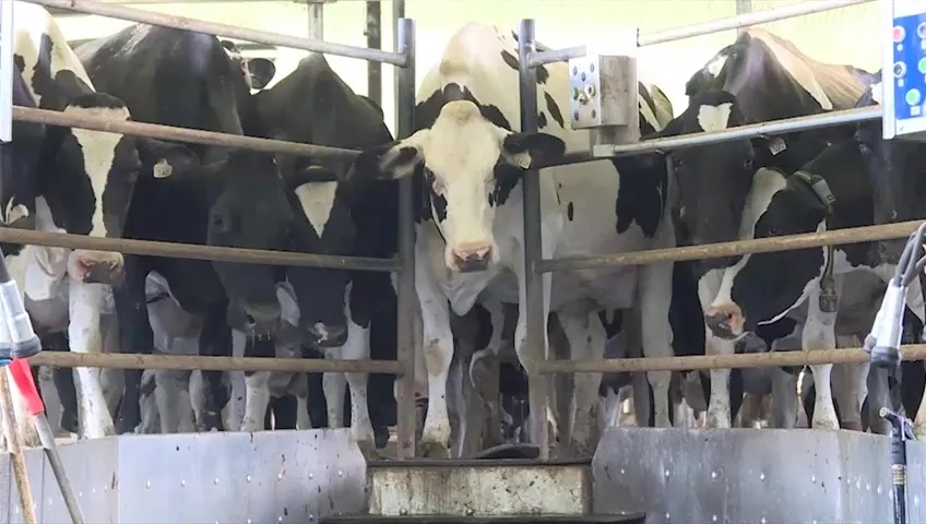 Minister MacAulay Backs Dairy Farmers' Sustainability Boost