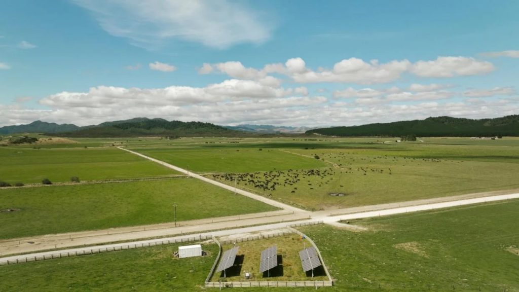 NZ’s largest solar farm gets the go ahead