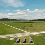 NZ’s largest solar farm gets the go ahead