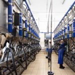 Positives for dairy sector despite unprecedented year, report says