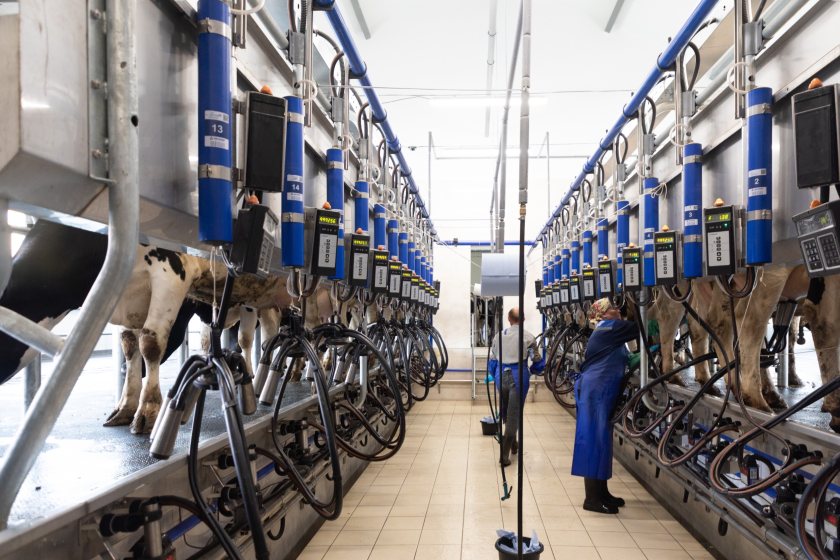 Positives for dairy sector despite unprecedented year, report says