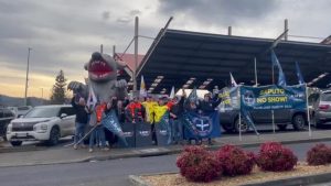 Saputo dairy workers striking at Hobart supermarkets today