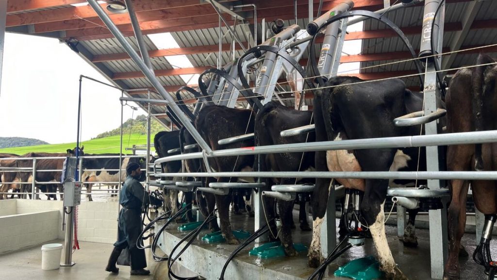 Shaping the future of dairy farming