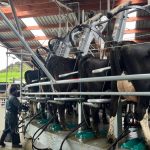 Shaping the future of dairy farming