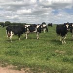 Structural changes highlighted in the dairy sector