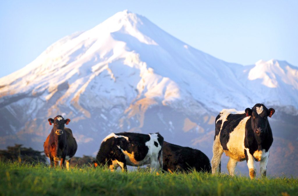The-Biggest-milking-industry-in-NZ-are-the-banks-not-Fonterra