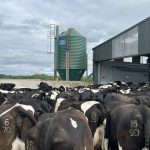 Total production costs up by 56% since 2015 on dairy farms