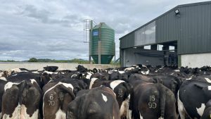 Total production costs up by 56% since 2015 on dairy farms