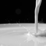 U.S. Milk Production Down in June; Spot Cheese, Nonfat Up