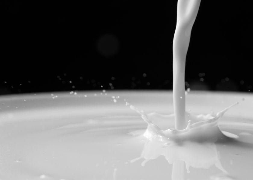 U.S. Milk Production Down in June; Spot Cheese, Nonfat Up