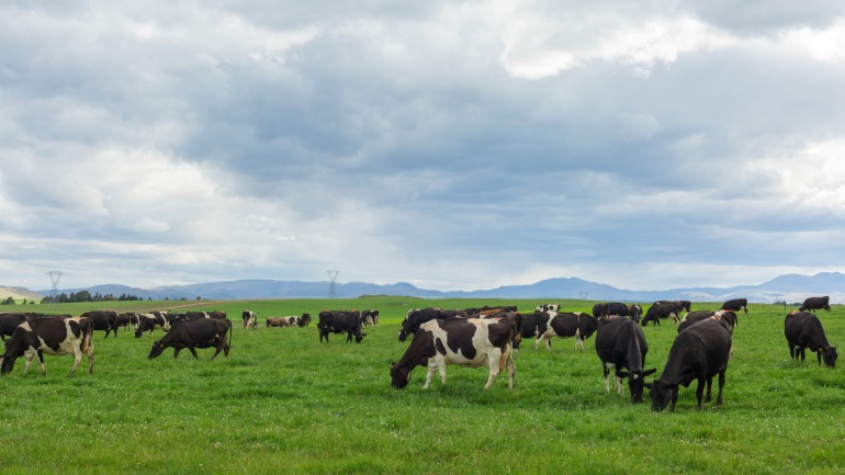 UK dairy industry warned of cost of climate resilience – report