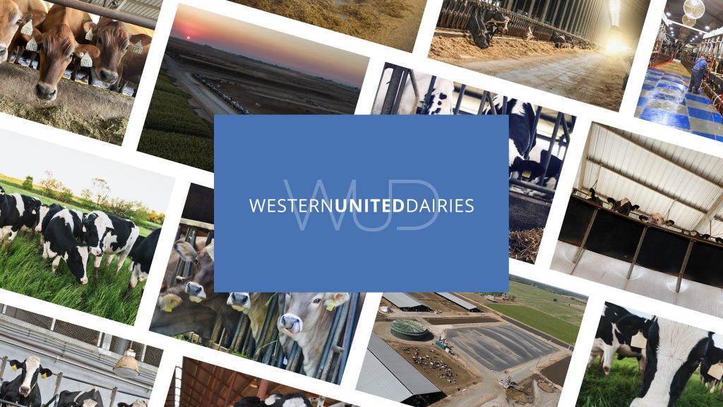 Western United Dairies, Almond Alliance help secure passage of legislation to ballot