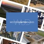 Western United Dairies, Almond Alliance help secure passage of legislation to ballot