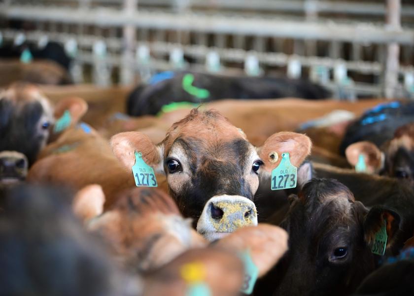 Who are the Winners and Losers in the Latest USDA Milk Production Report