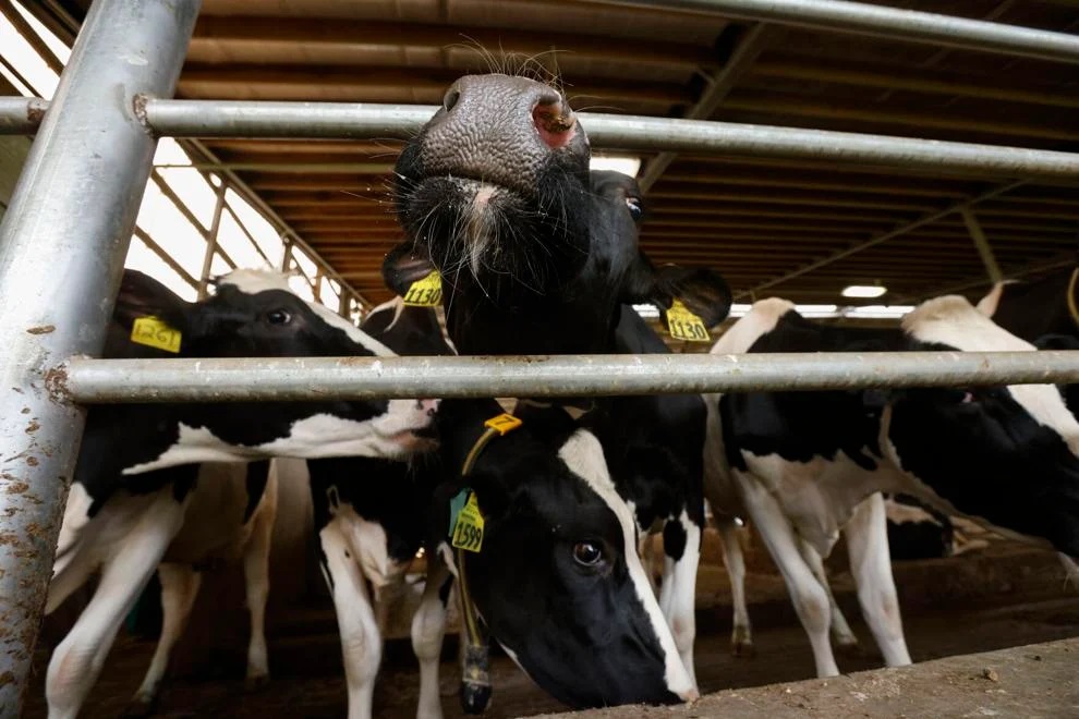 Why Wisconsin's court order against a CAFO farm was so unusual