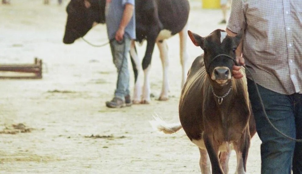 World Dairy Expo