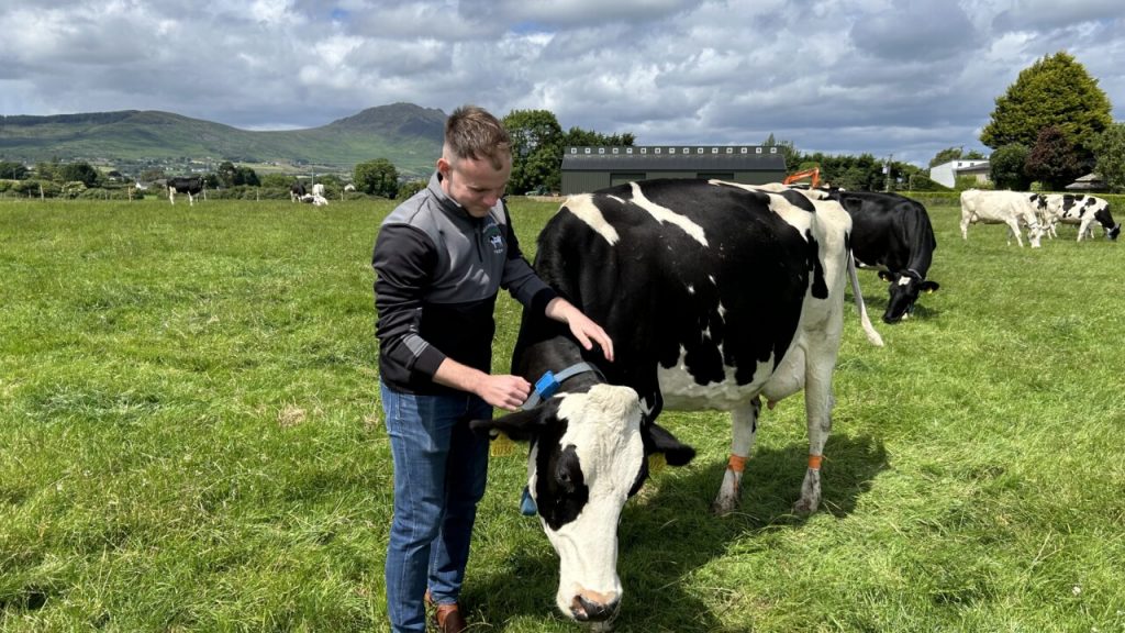Young Louth farmer diversifies family dairy farm