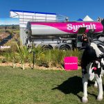 a2 Milk Company coy on Synlait $130m loan